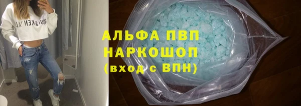 PSILOCYBIN Покачи