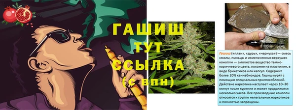 PSILOCYBIN Баксан