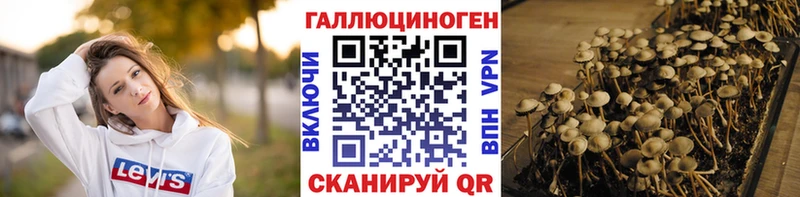 площадка формула  Усть-Илимск  Галлюциногенные грибы GOLDEN TEACHER 